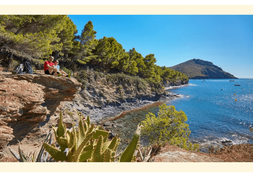 traverse detox cami de ronda